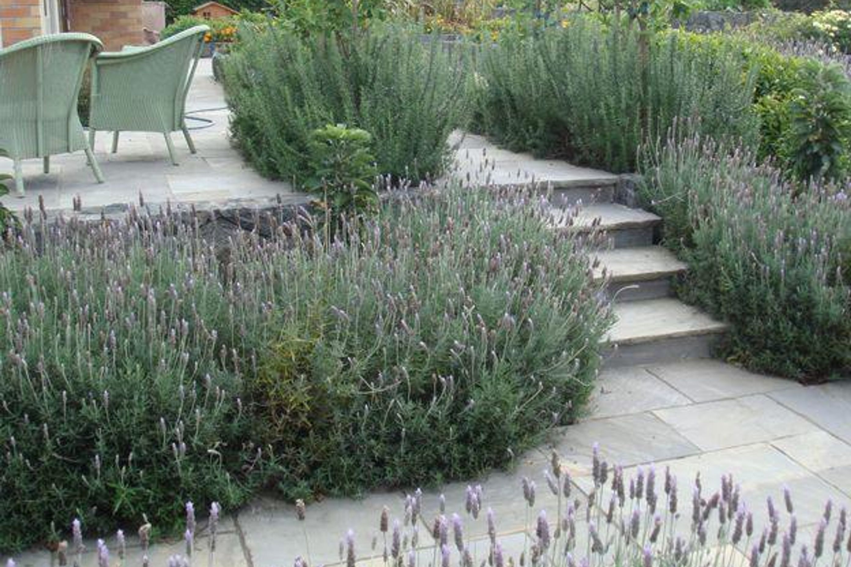 Plantings