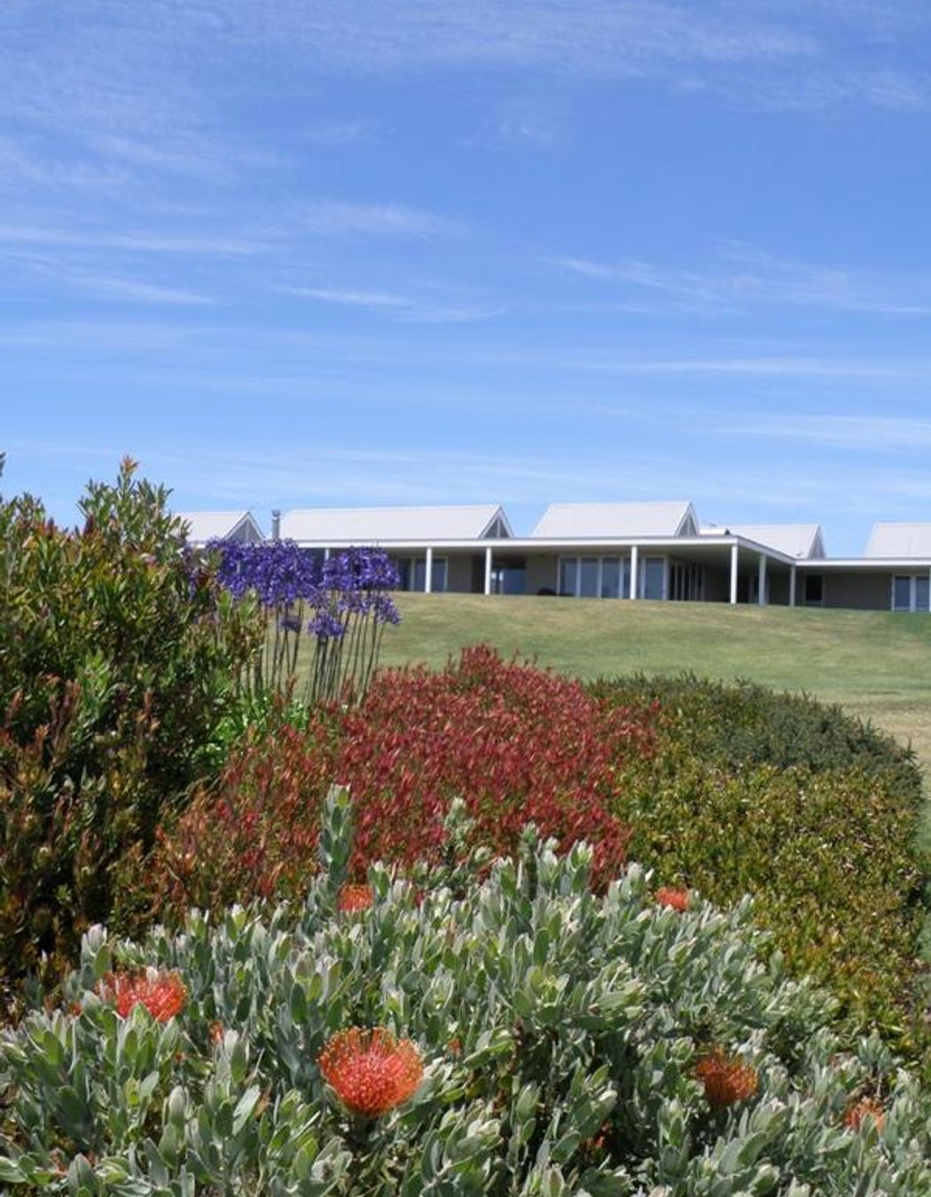Country Gardens