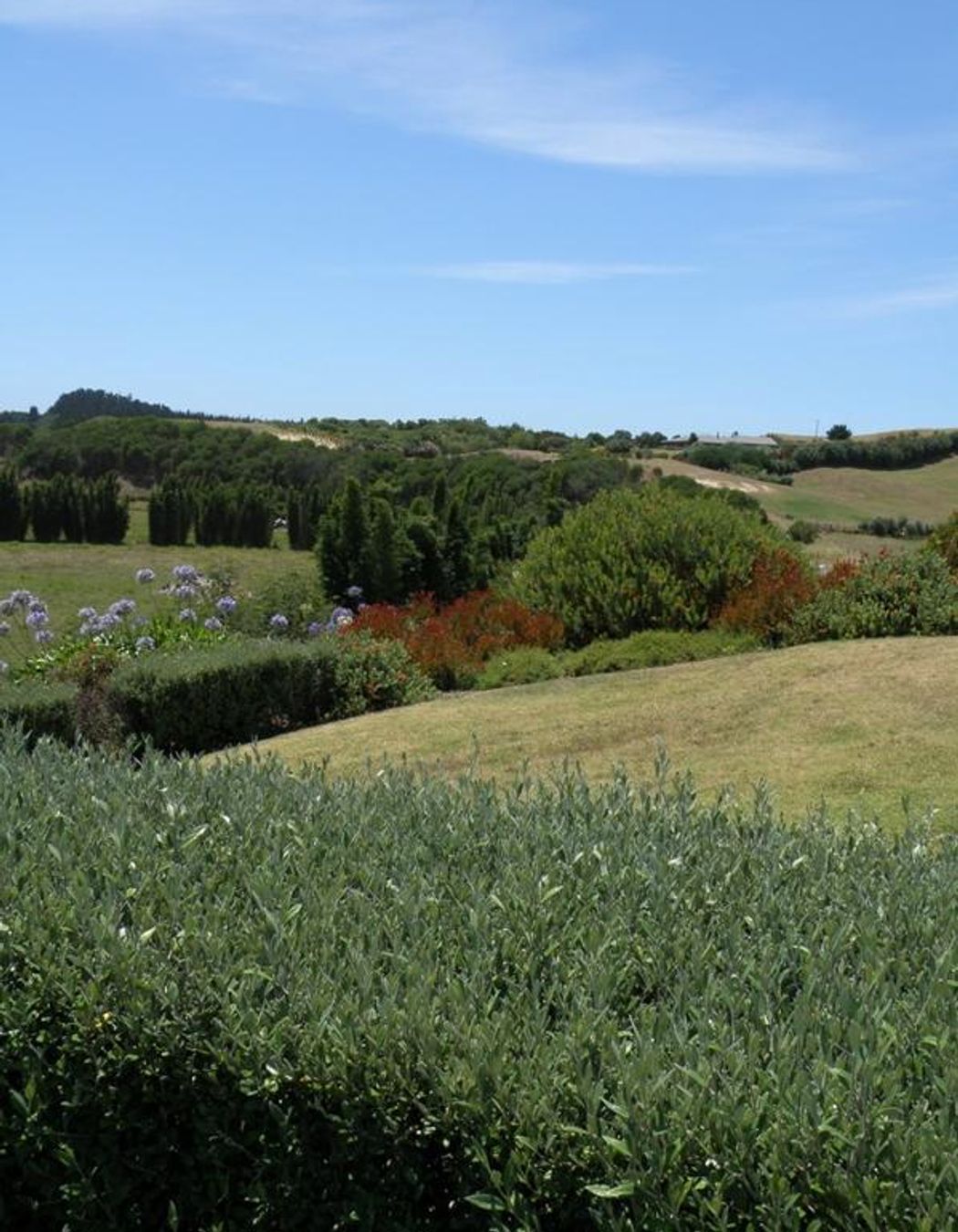 Country Gardens