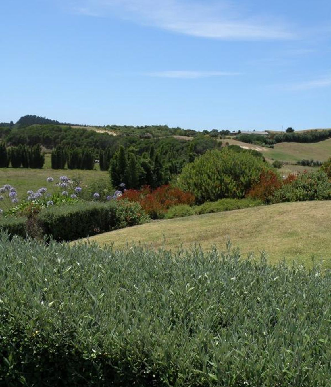 Country Gardens
