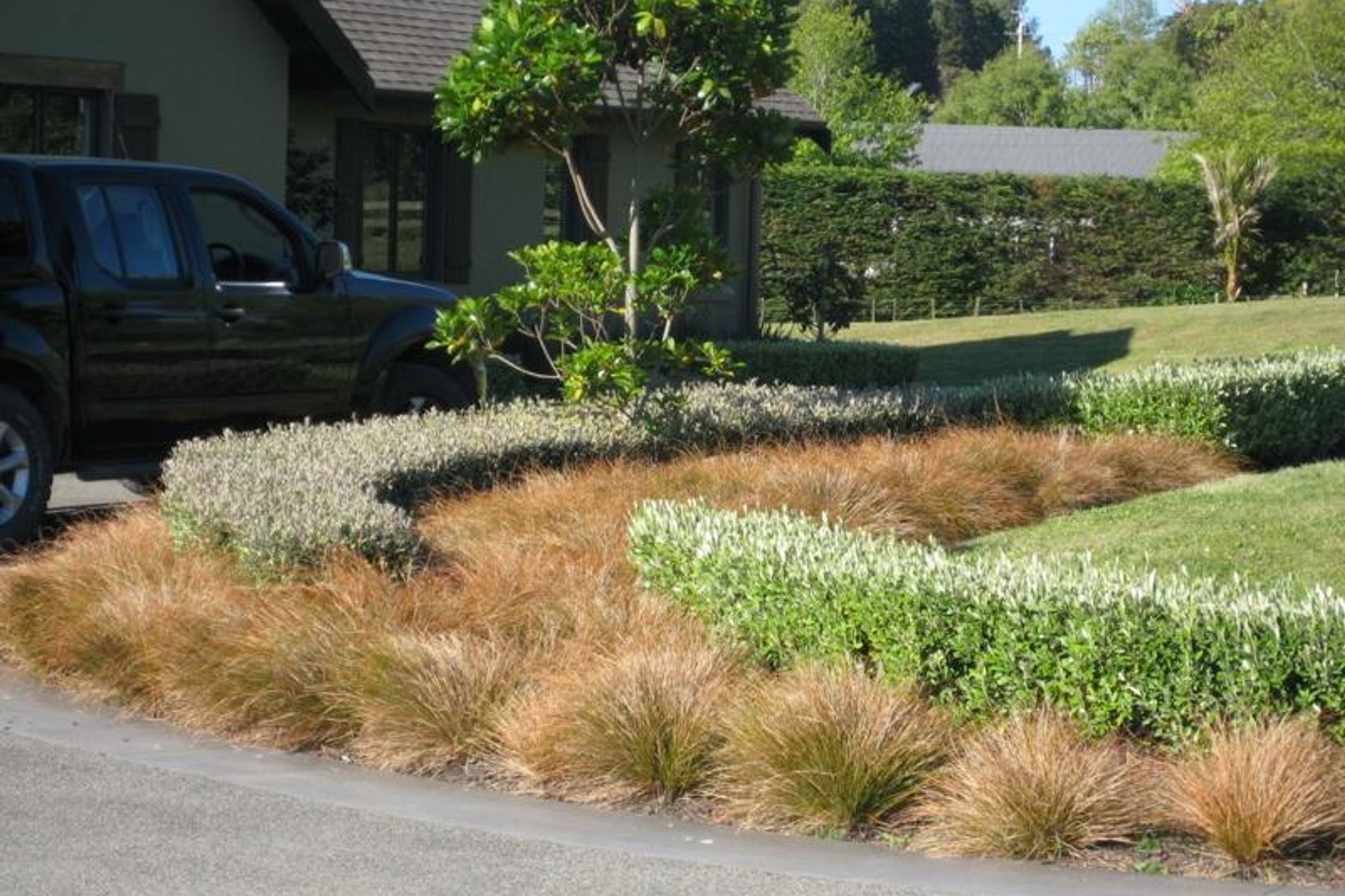 Plantings