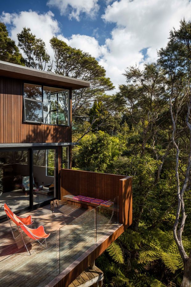 A modern two-storey timber-clad house set among dense native bush, viewed from an elevated outdoor deck. The building features dark vertical timber cladding, extensive black-framed glazing, projecting flat roof planes, and a cantilevered-looking timber deck with clear glass balustrades. Bright red-orange outdoor chairs and a timber bench add colour to the deck, while lush ferns and trees surround the home.