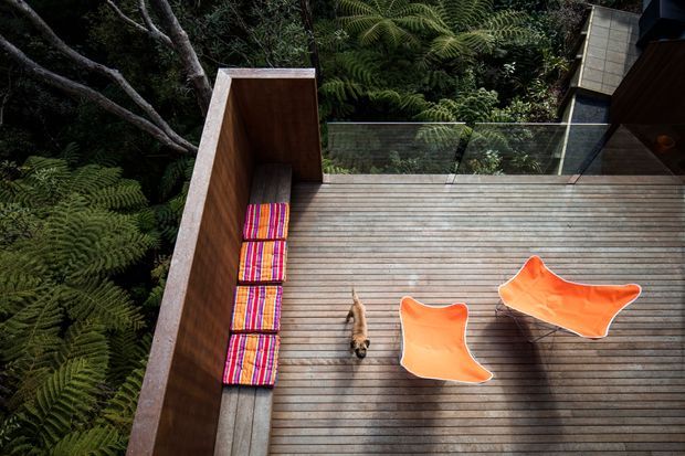 A secluded elevated timber deck surrounded by dense native fern and forest vegetation. The deck has a glass balustrade, a tall timber privacy wall, two bright orange sculptural outdoor chairs, and colourful striped cushions arranged along the wall. A small dog is present on the deck.