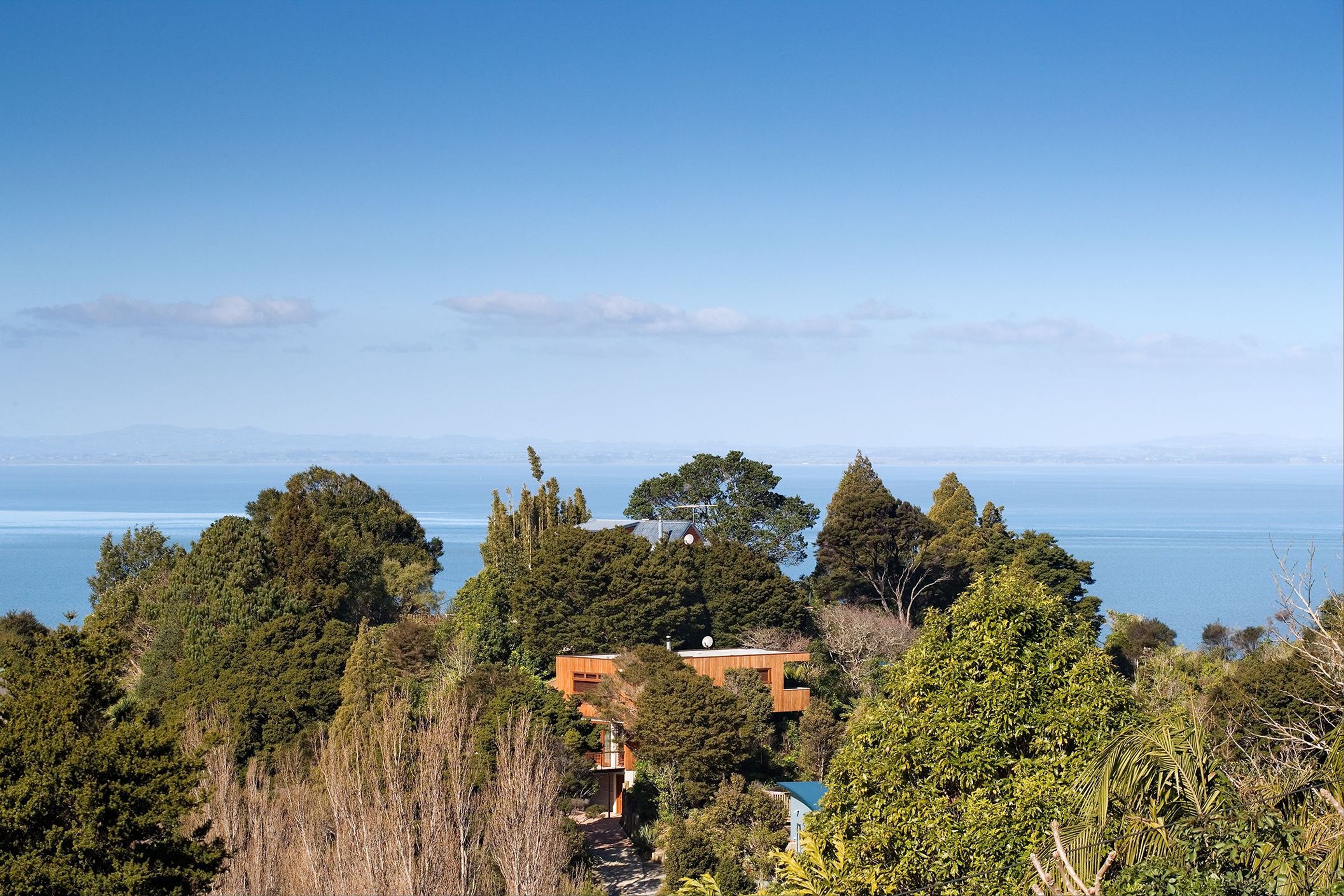 Tree House