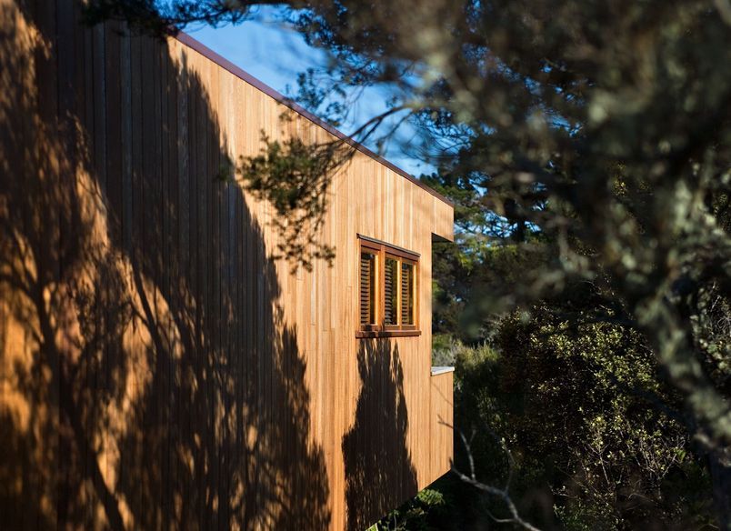 Tree House