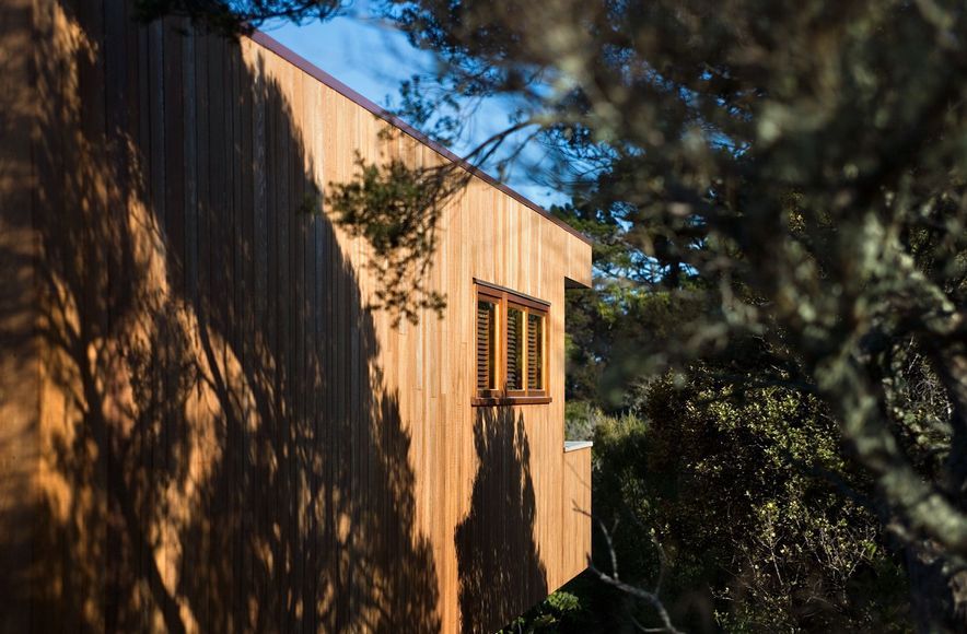 Tree House