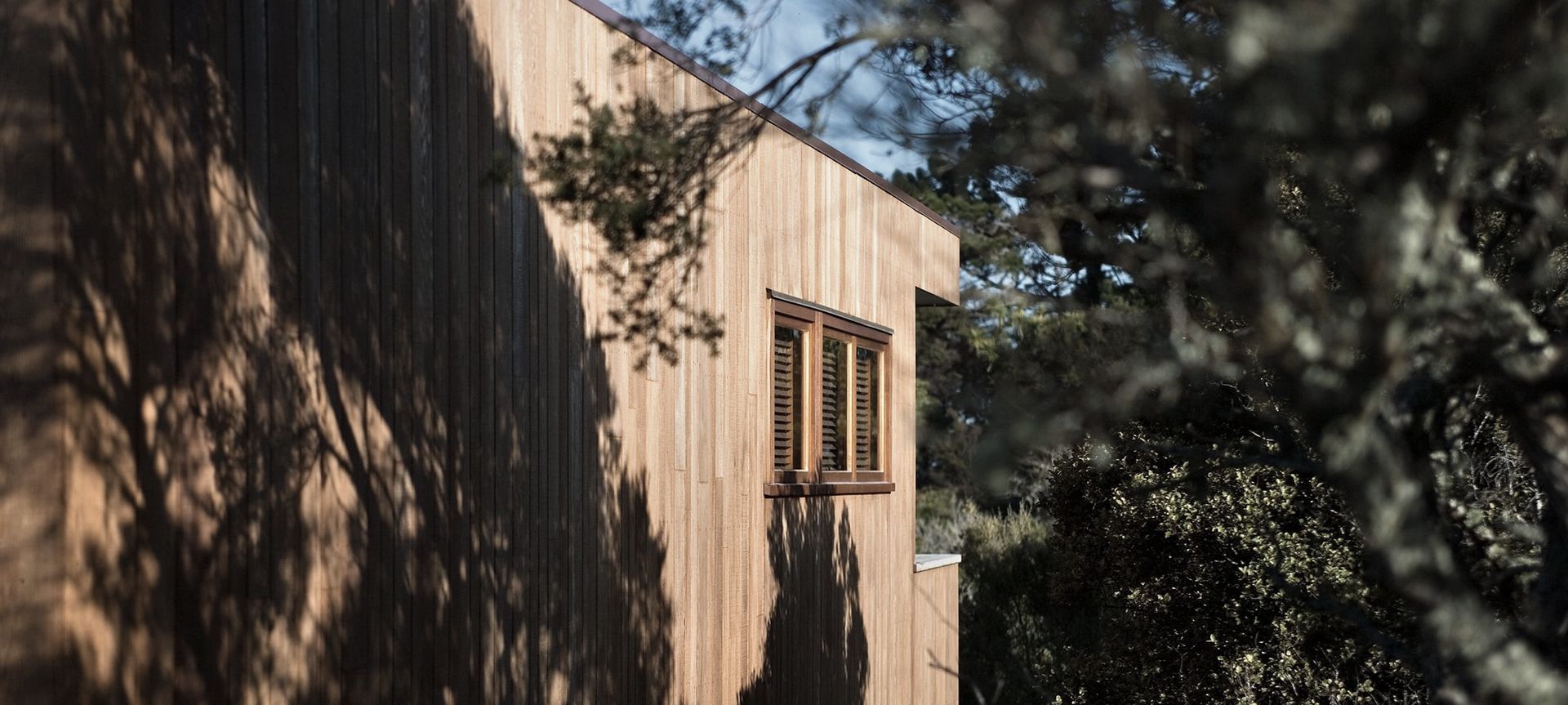 Tree House banner