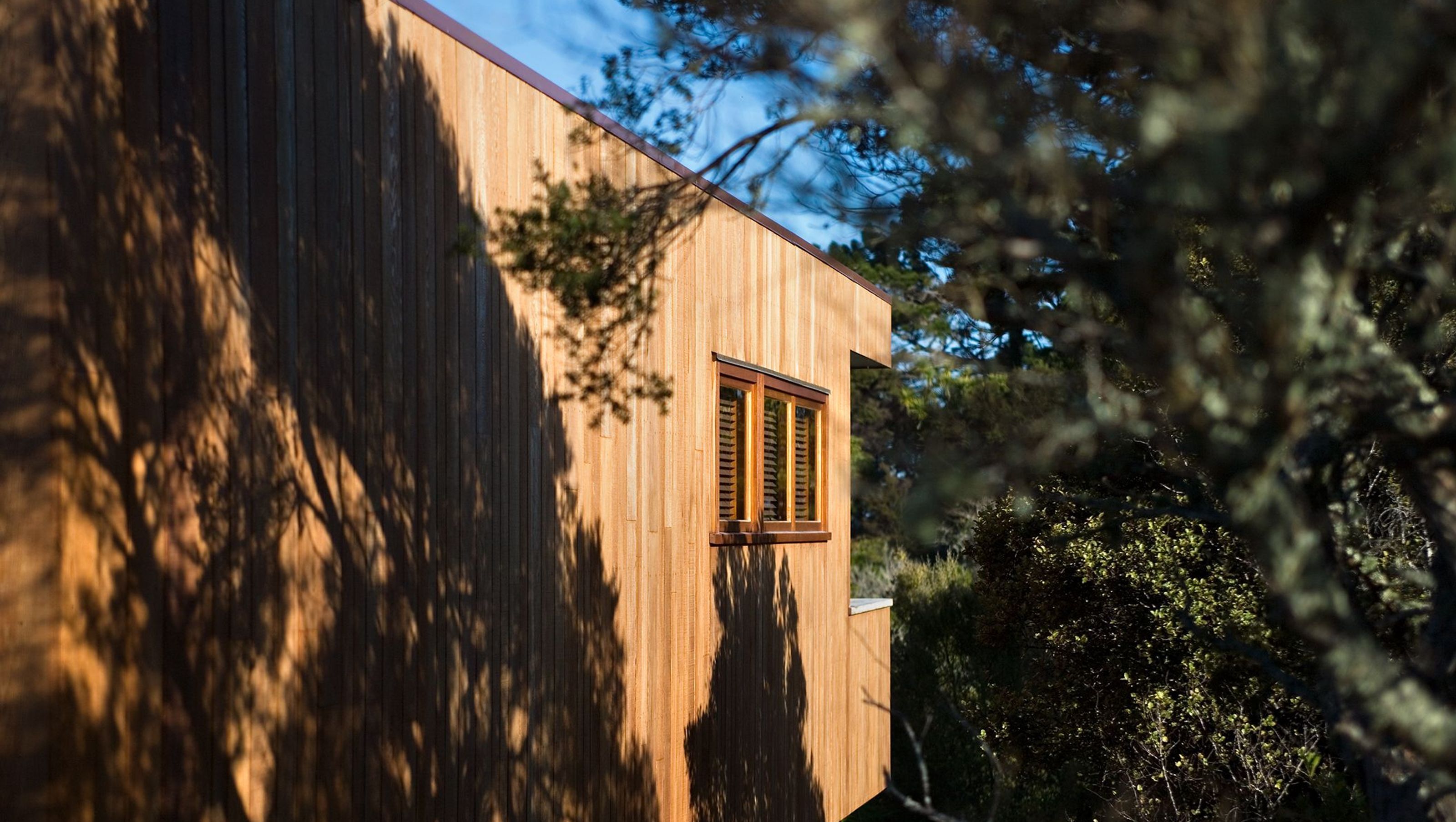 Tree House
