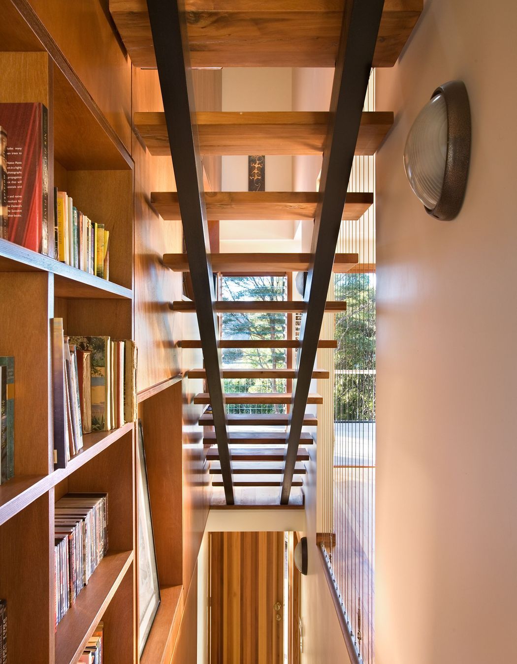 Tree House