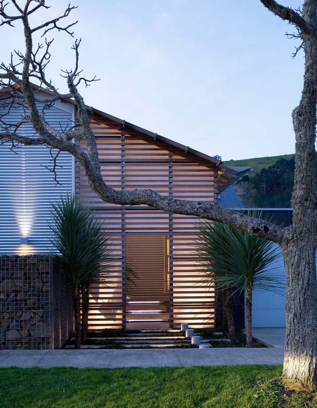 Urban Shed