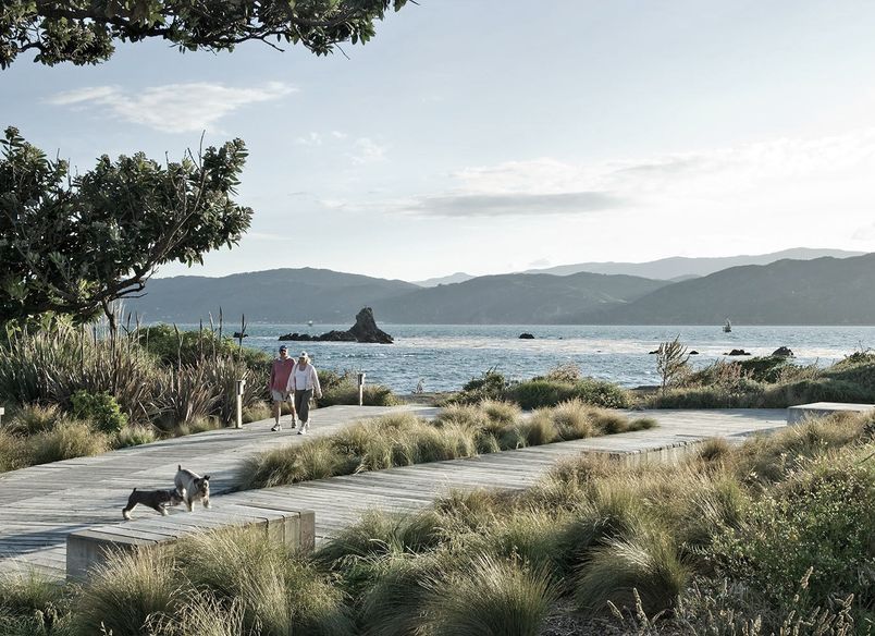 The Waterfront Seatoun