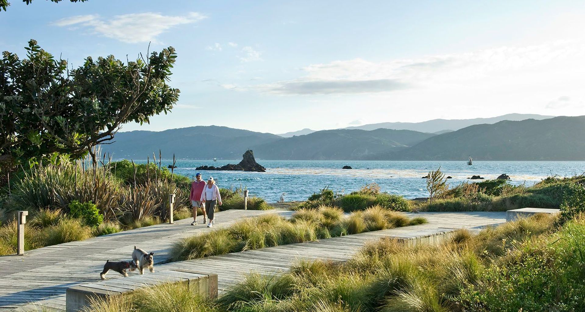 The Waterfront Seatoun banner