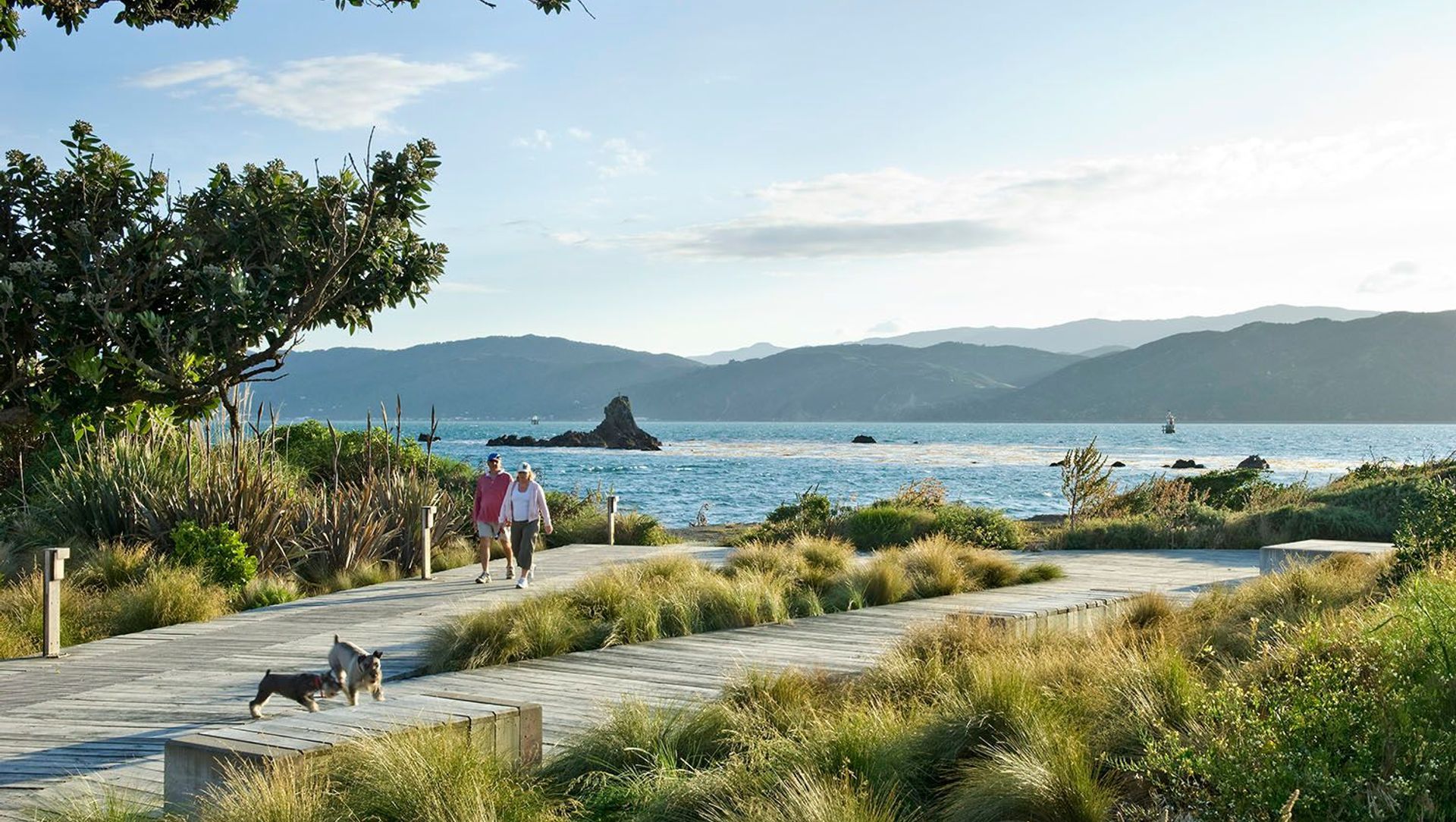 The Waterfront Seatoun banner