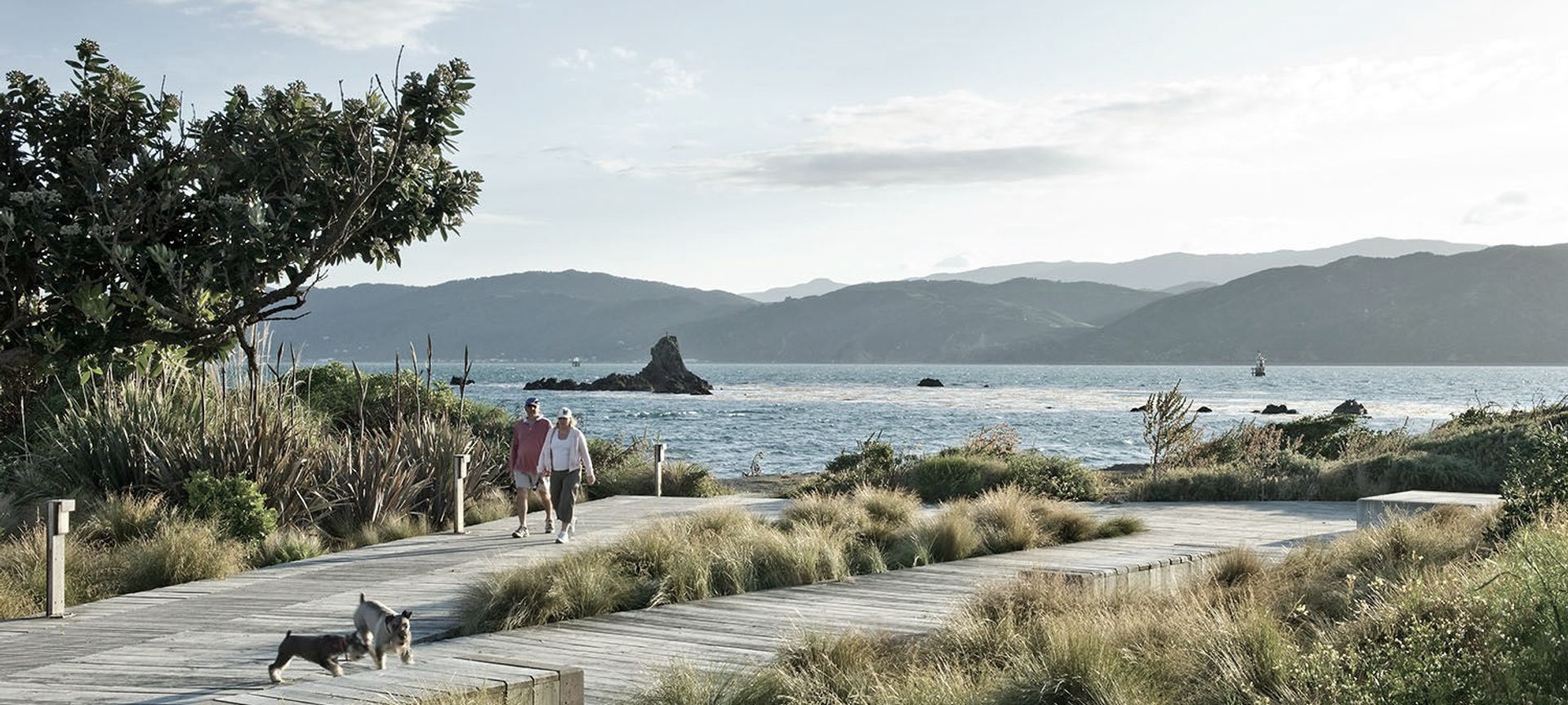 The Waterfront Seatoun banner