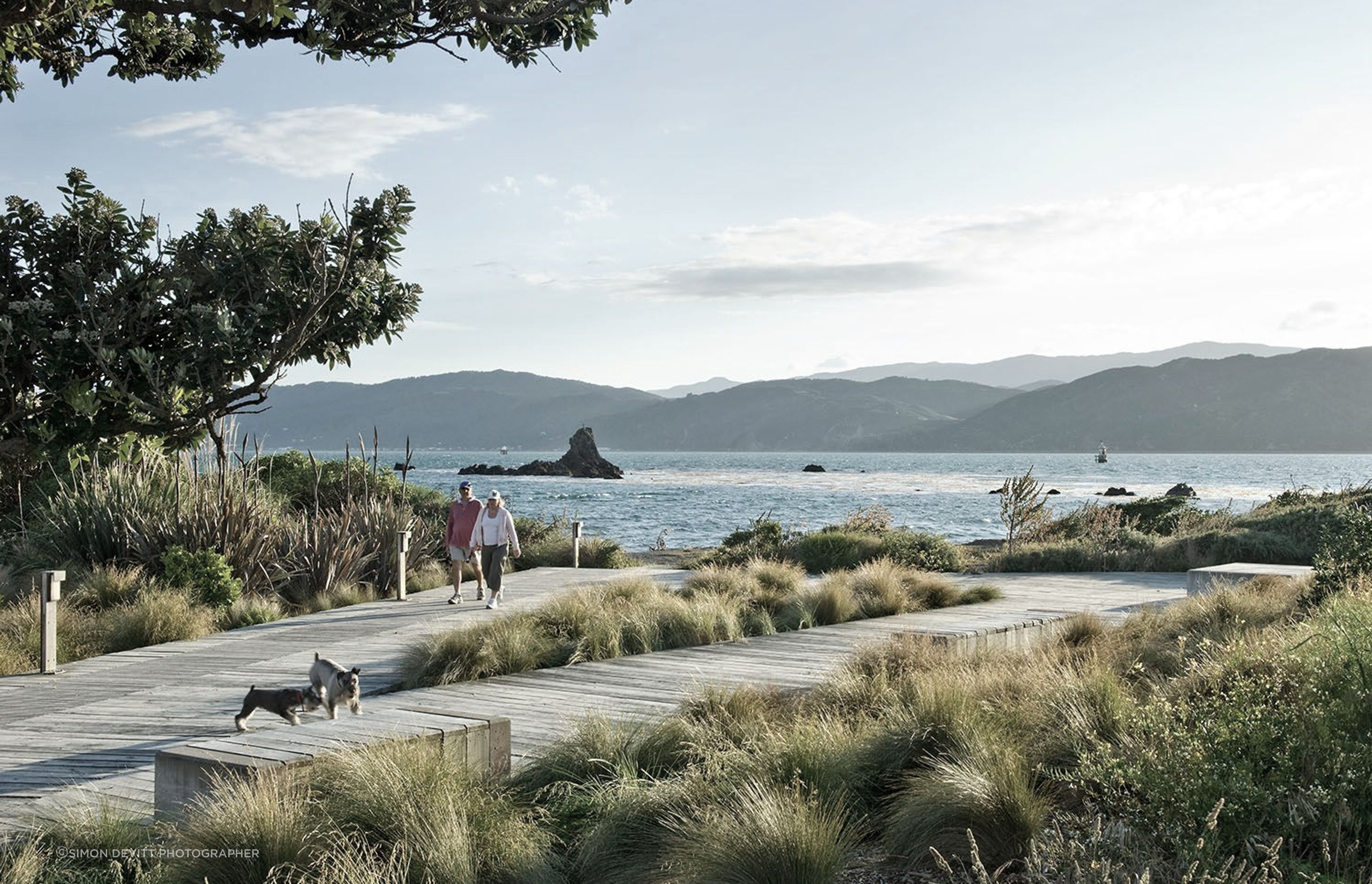 The Waterfront Seatoun