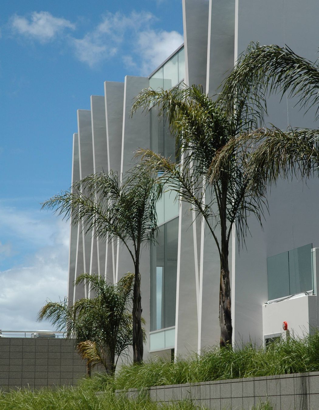 Wedge Offices