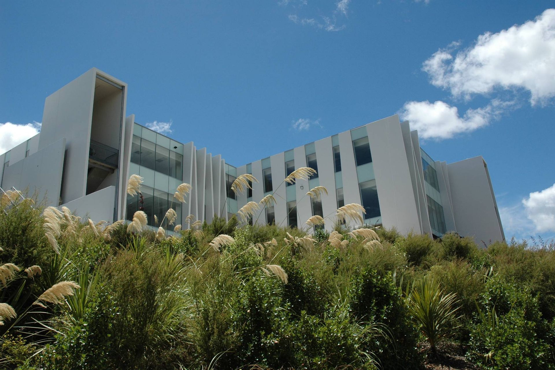 Wedge Offices