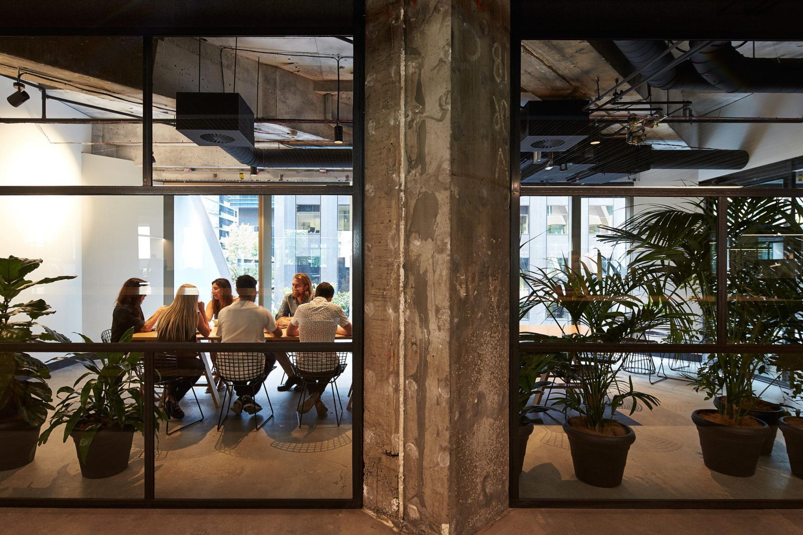 Clients, experience and a better world
