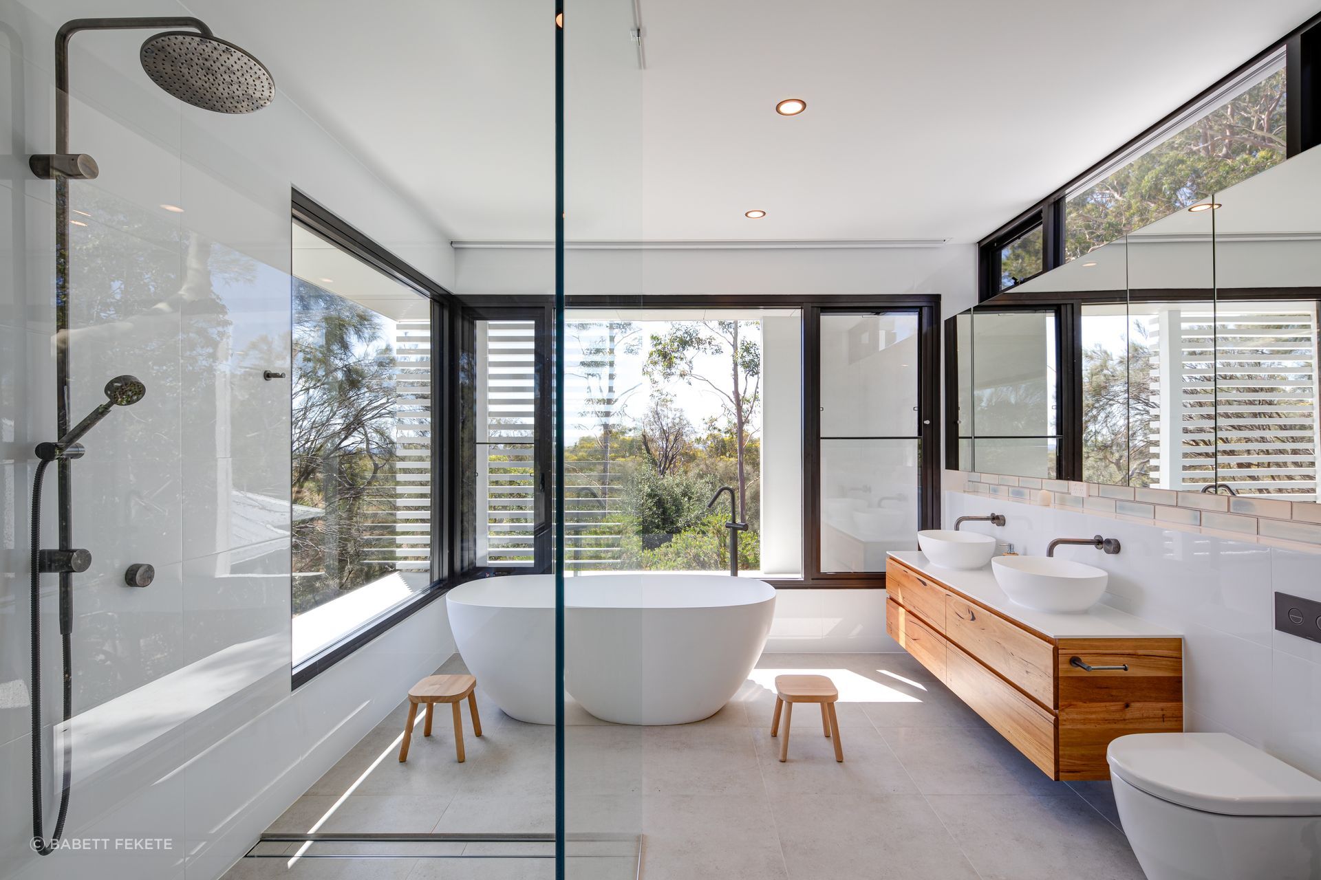 The homeowners wanted a treehouse-like extension that worked as its own separate space from the home, to be used as guest accommodation for extended family and an easygoing space for the kids to have their nightly bathroom ritual.