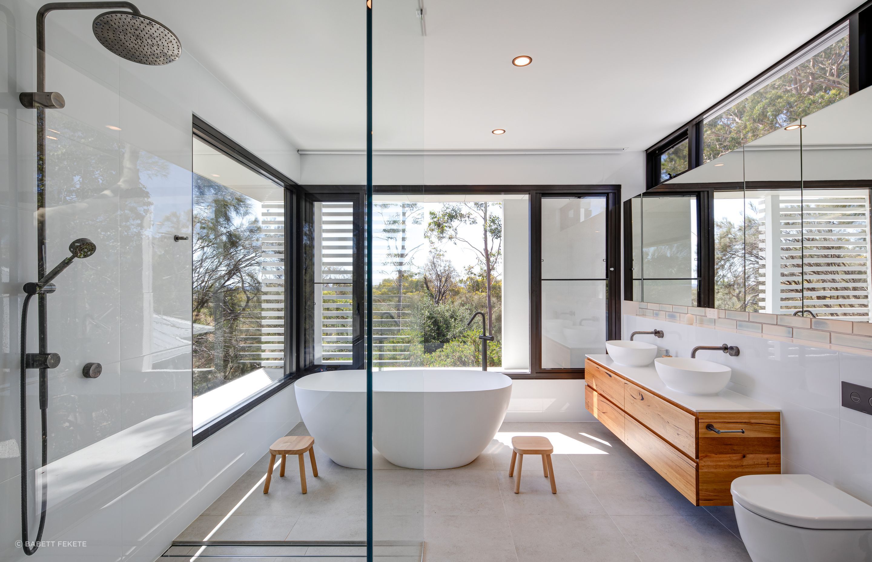 The homeowners wanted a treehouse-like extension that worked as its own separate space from the home, to be used as guest accommodation for extended family and an easygoing space for the kids to have their nightly bathroom ritual.