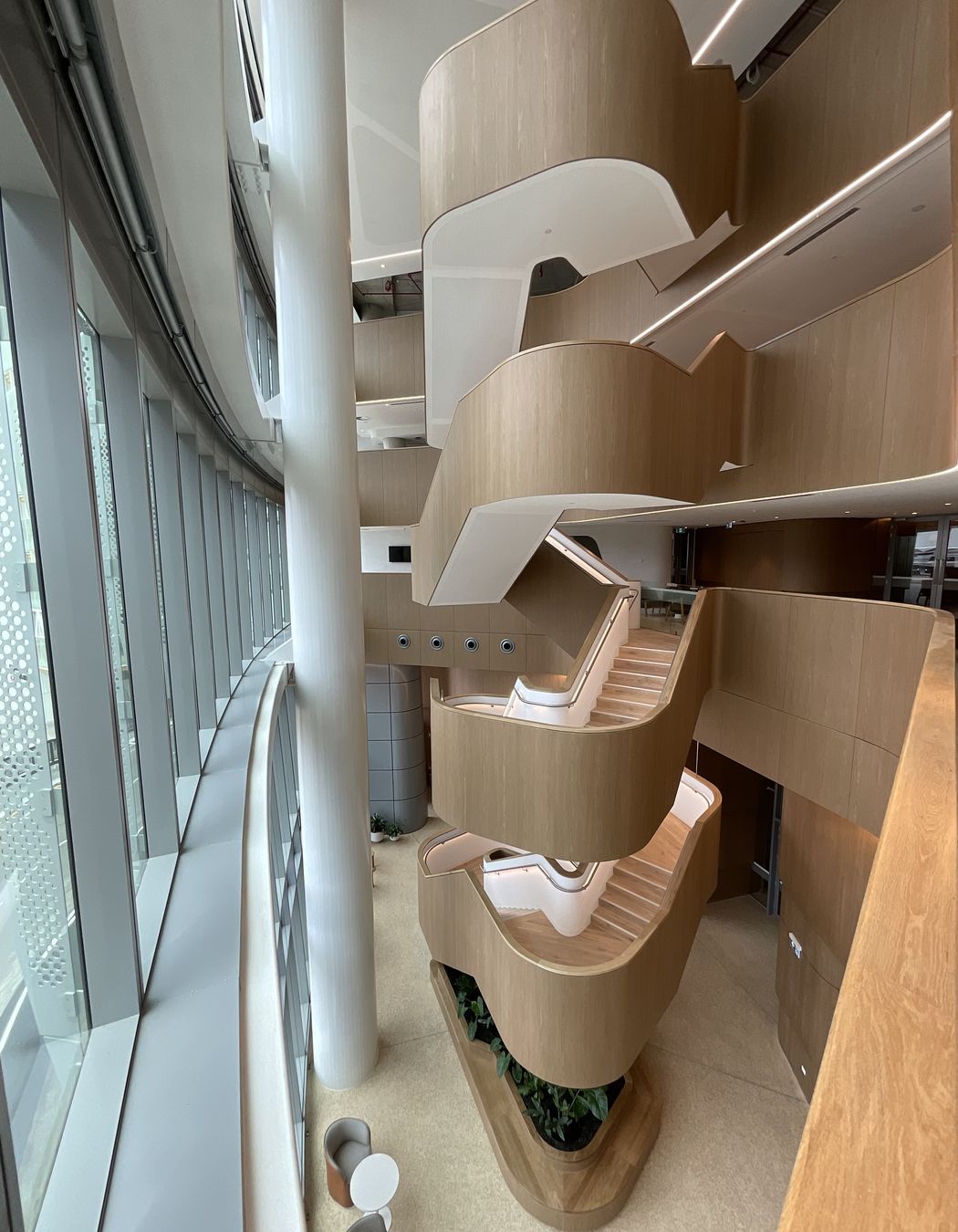 An abundance of natural light, biophilic curves and warm timber materials.