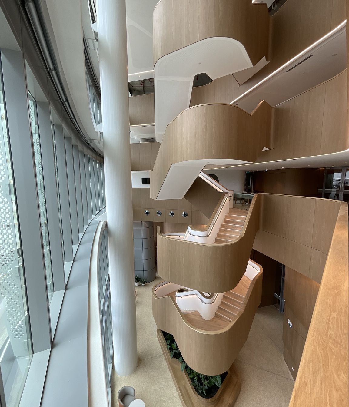 An abundance of natural light, biophilic curves and warm timber materials.