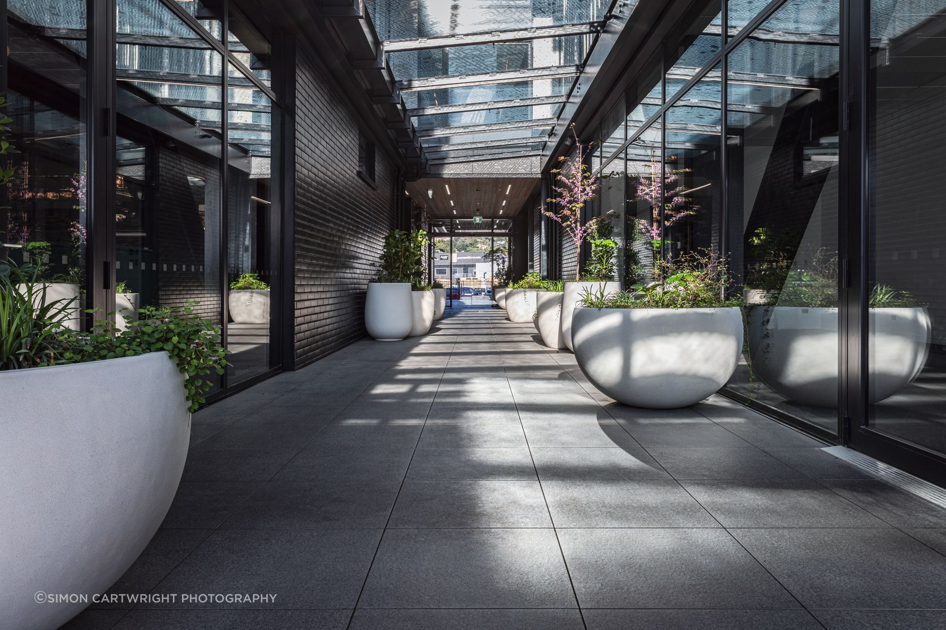 CP28018-Edit.jpg
