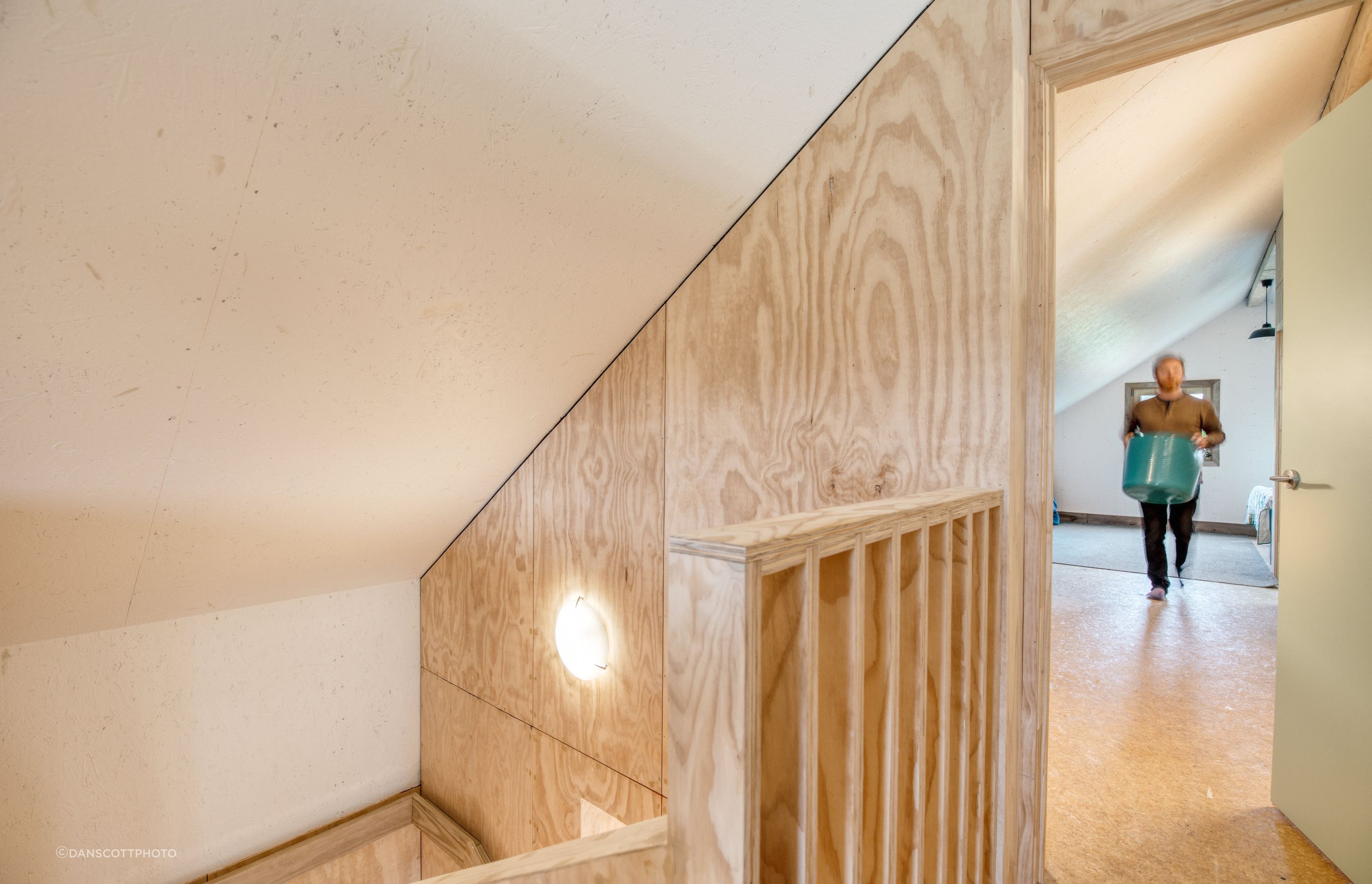 The ceilings are painted Resene Half Sea Fog, with the texture of the SIPs strandboard still visible. The shadow gaps between the SIPs and the plywood are to highlight the concept of the interior being slotted into the envelope of the house.