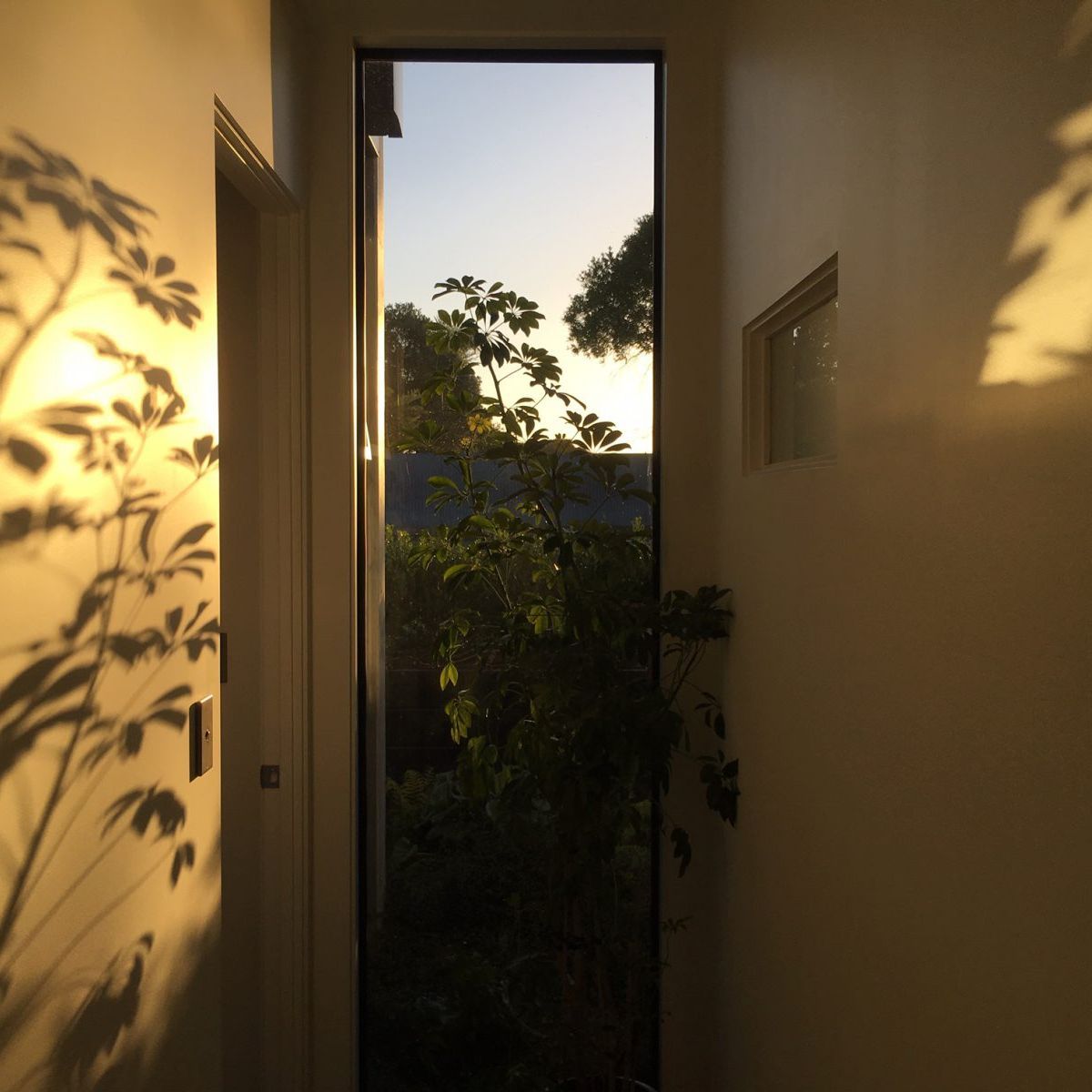 Future homes in a post-lockdown world
