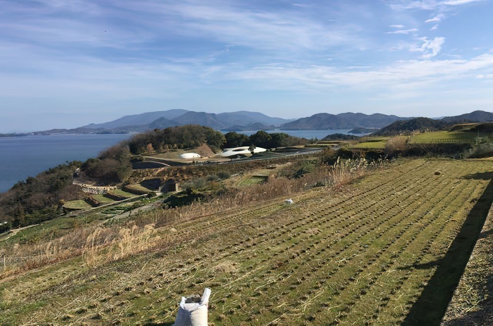 Teshima Art Museum