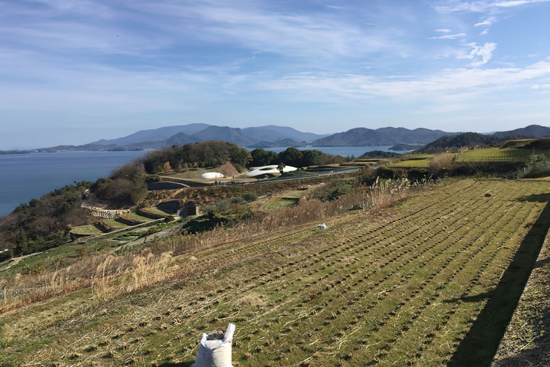 Teshima Art Museum