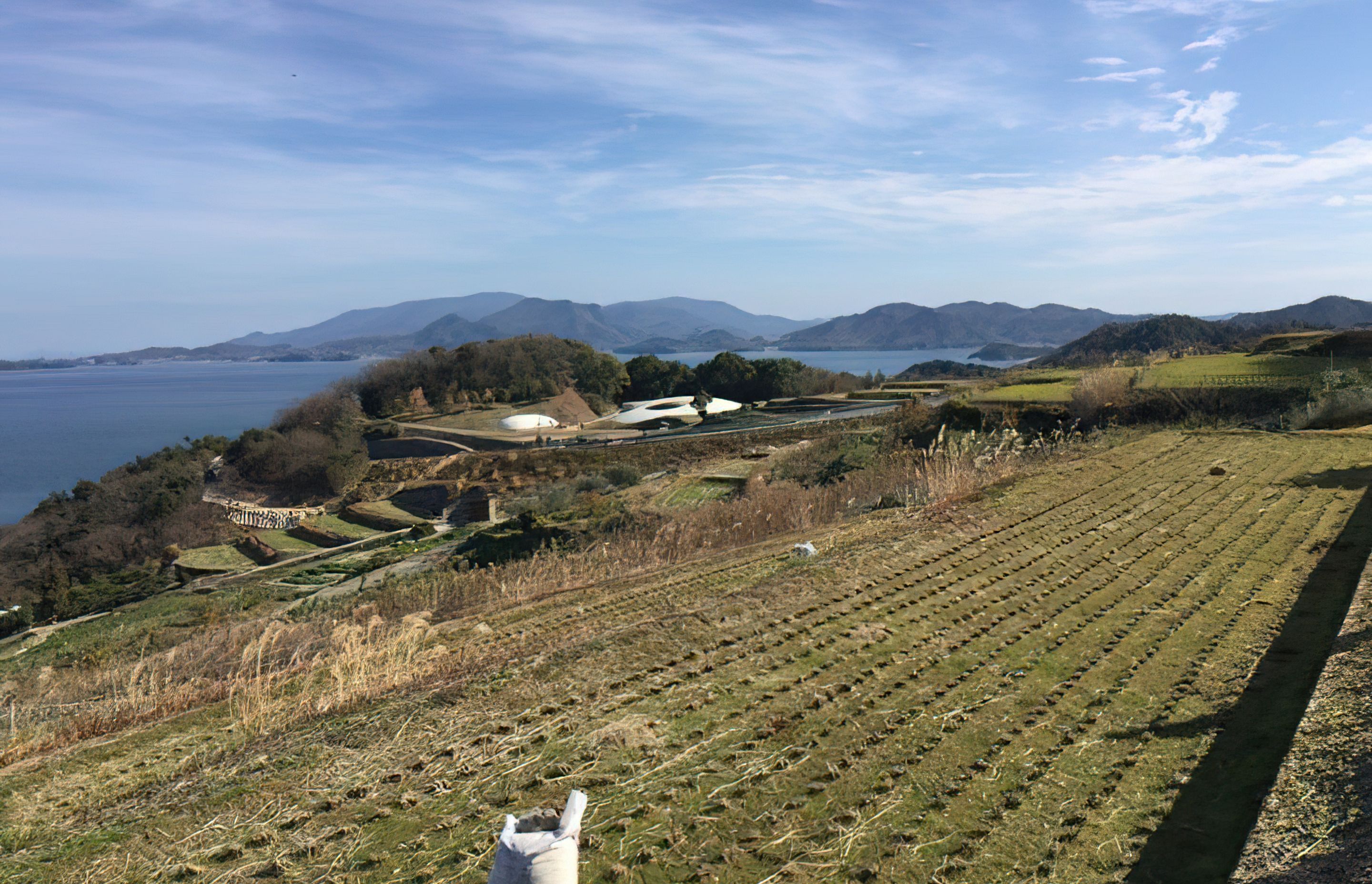 Teshima Art Museum