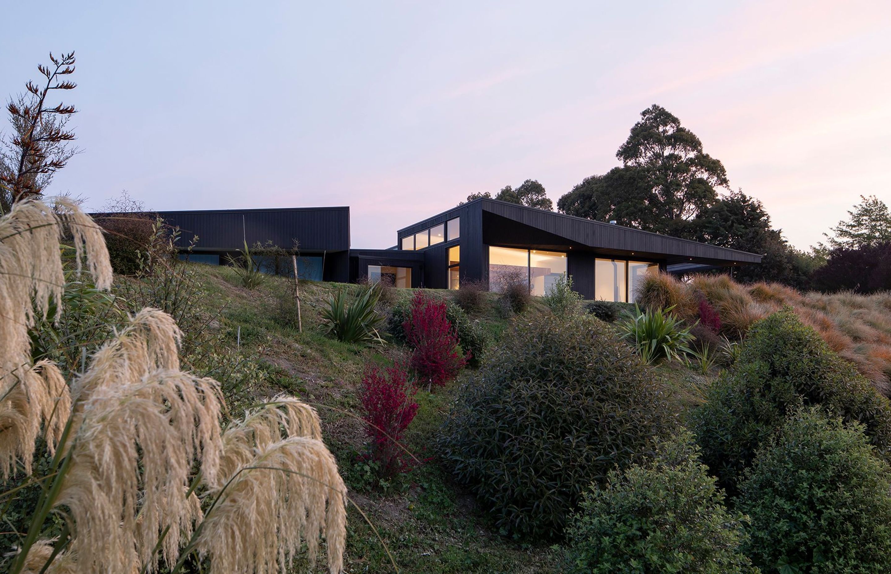 Vineyard House is a simple, sculptured form that is cranked to face the morning sun.