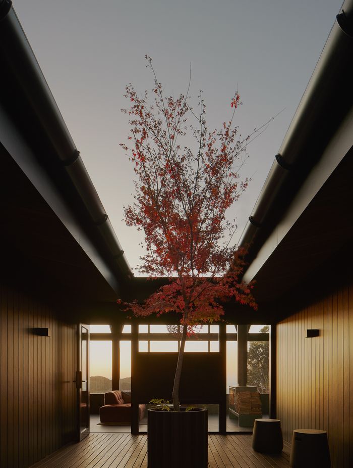 Cloudview Springbrook | Paul Uhlmann Architects