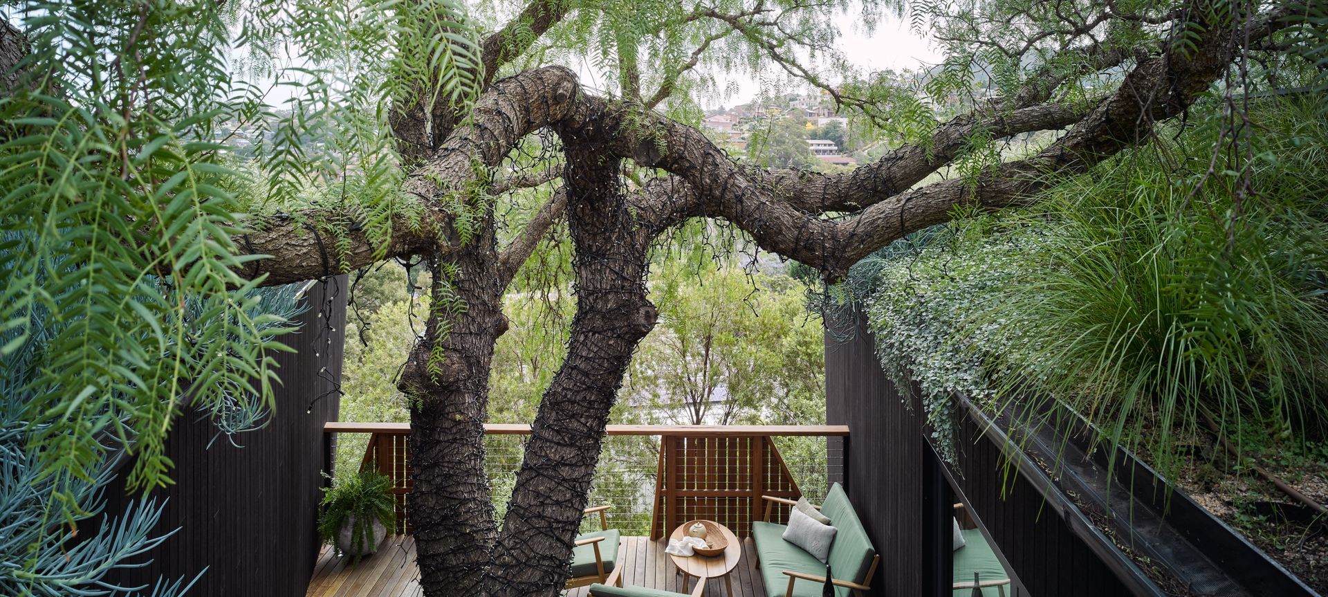 Pepper Tree Passive House, nestled on a steep site in the Illawarra region, was built to envelop the home's 60-year-old pepper tree.