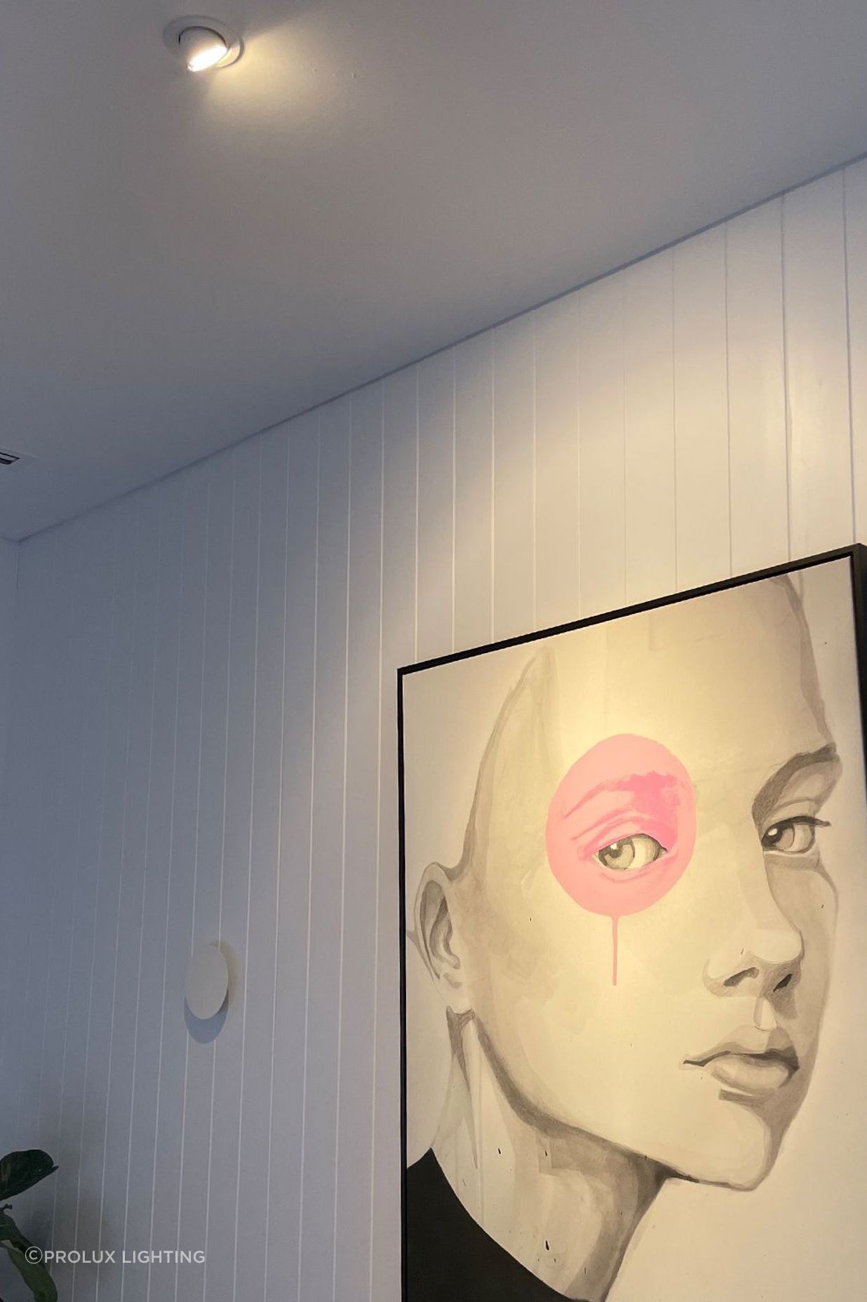 Illuminate your art with the Picton light, as seen above.