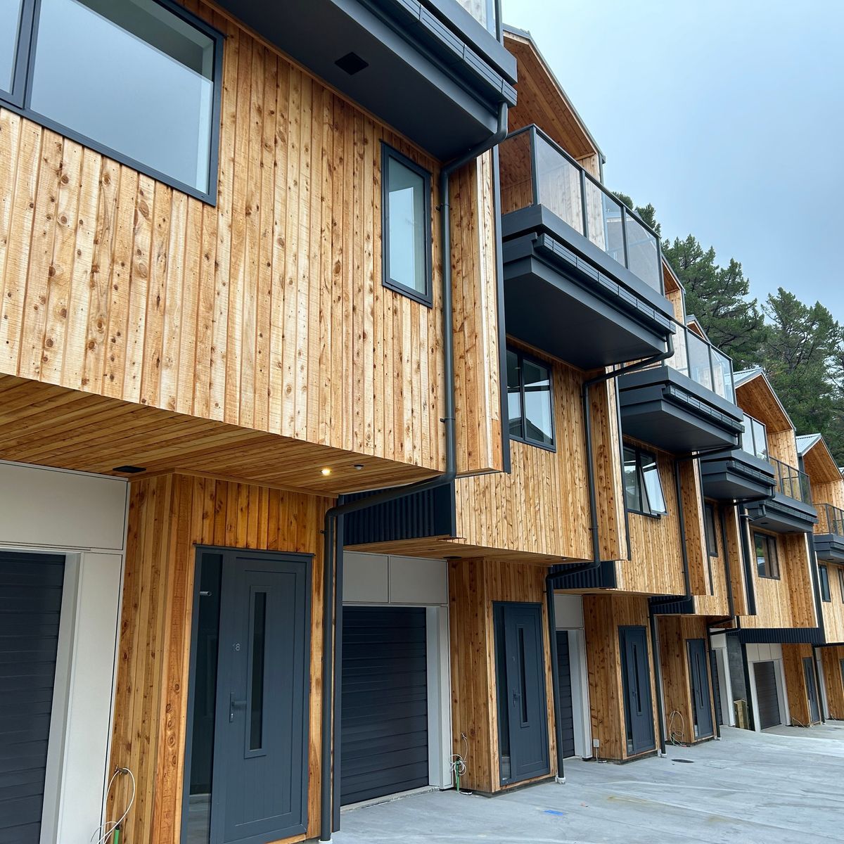High-density living: the organic influence of Macrocarpa timber
