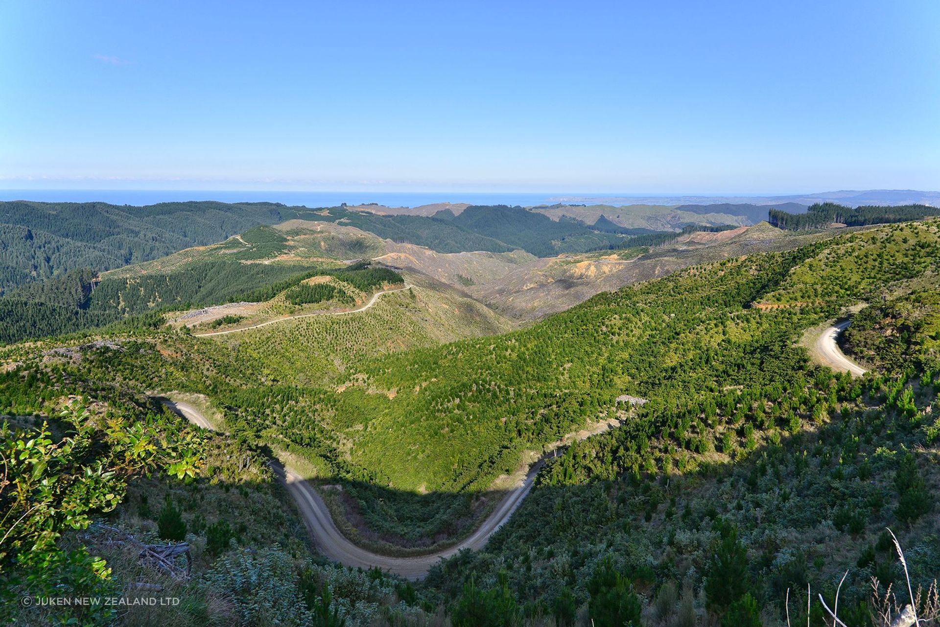 01-JNL-forestry.jpg