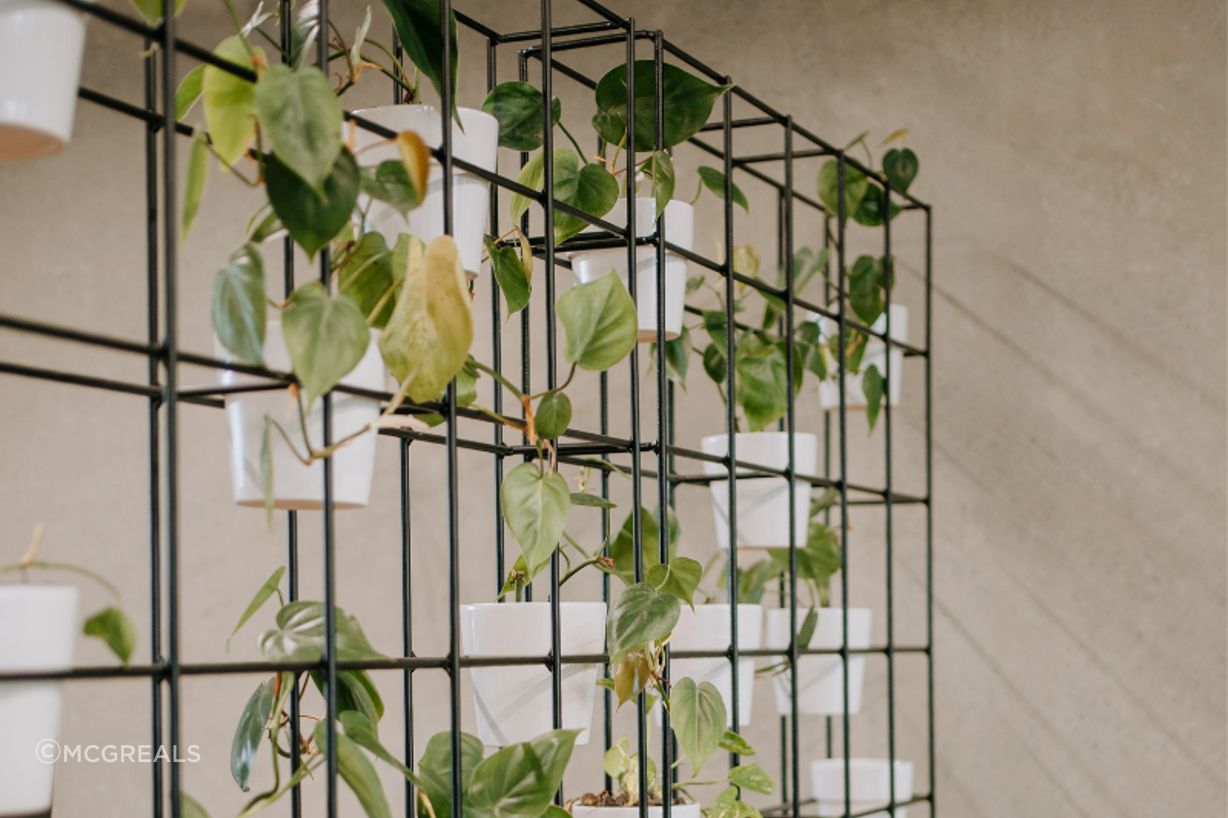 Adding natural elements such as plants and natural light can improve air quality.