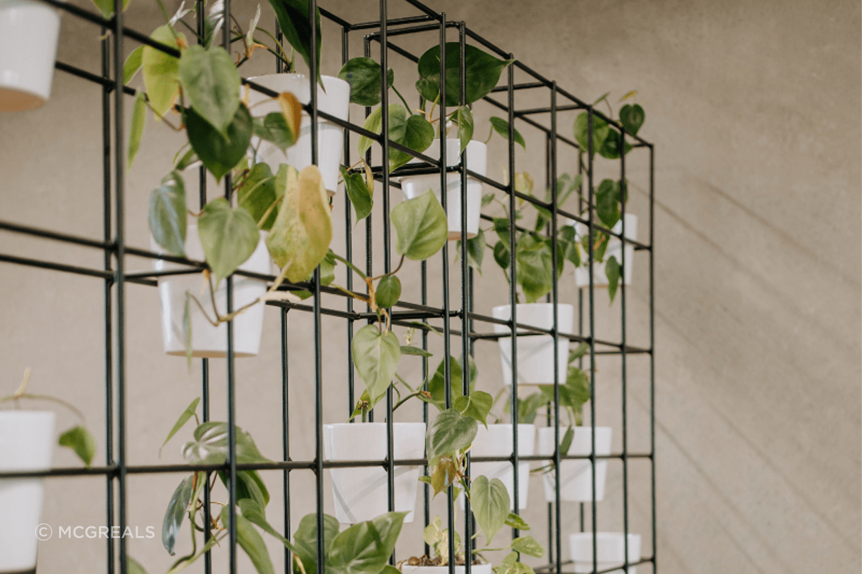 Adding natural elements such as plants and natural light can improve air quality.