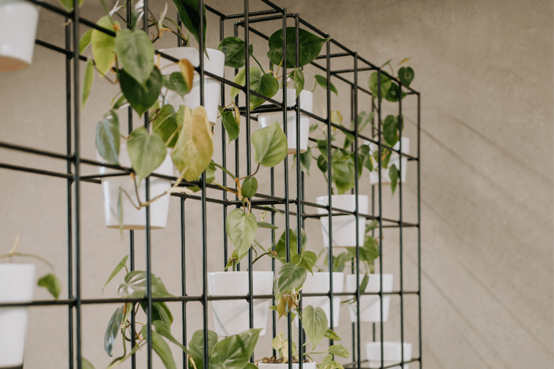 Adding natural elements such as plants and natural light can improve air quality.
