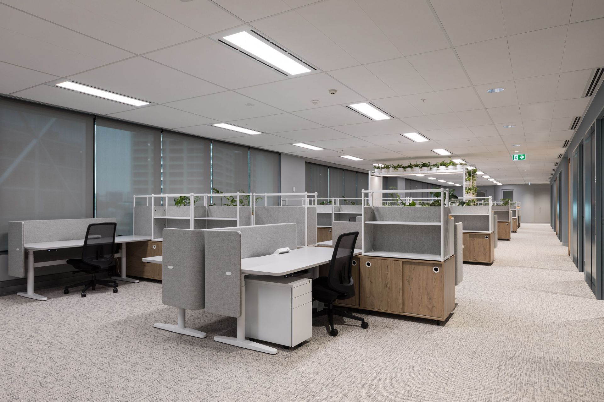 Buddle Findlay with modulyss® DSGN Absolute