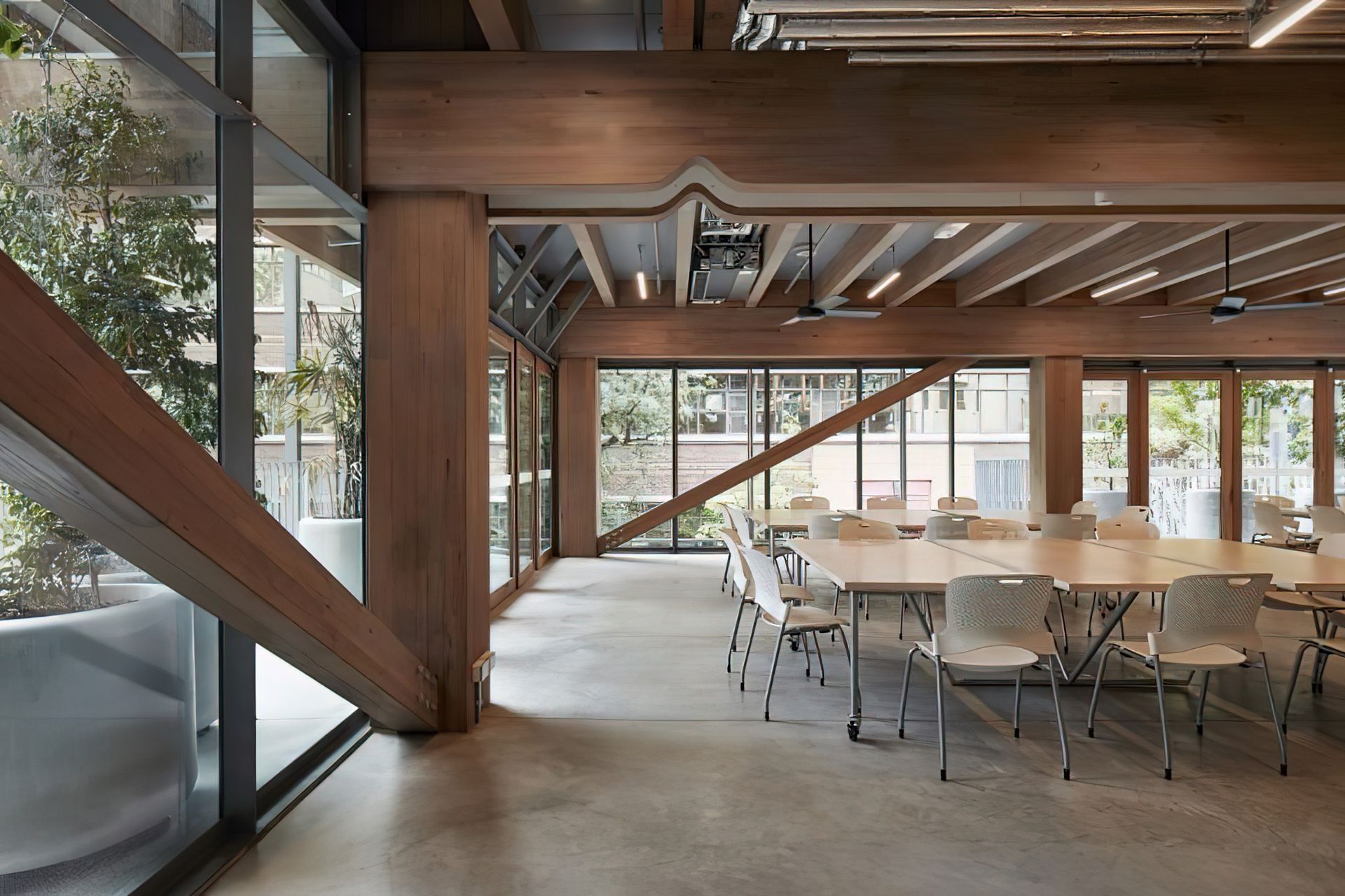 RMIT Garden Building – Glulam made from ASH’s structural grade Victorian ash.