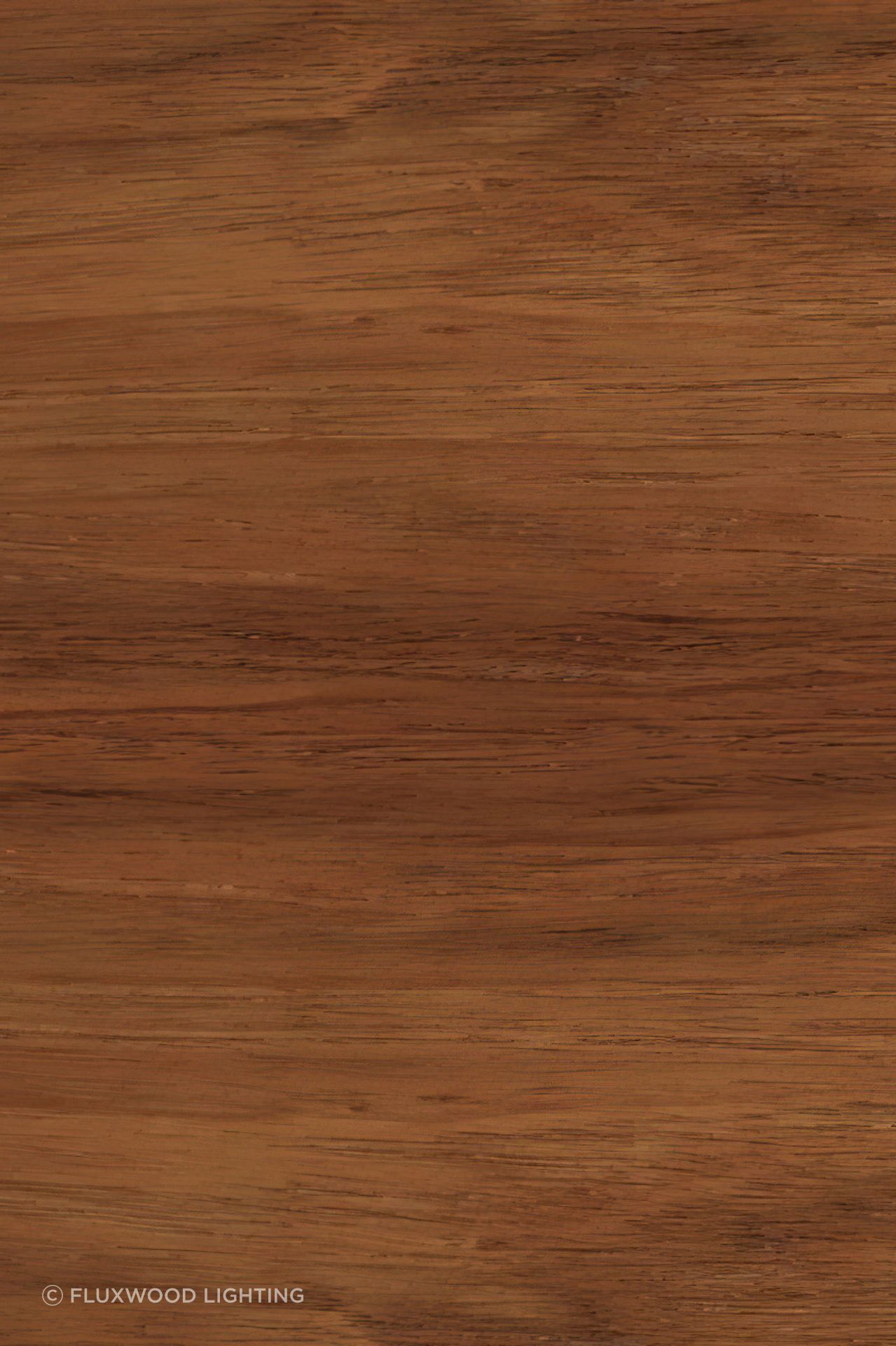 Tasmanian Blackwood (Acacia Melanoxylon)