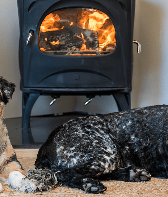 Guides & Ideas, Product Features