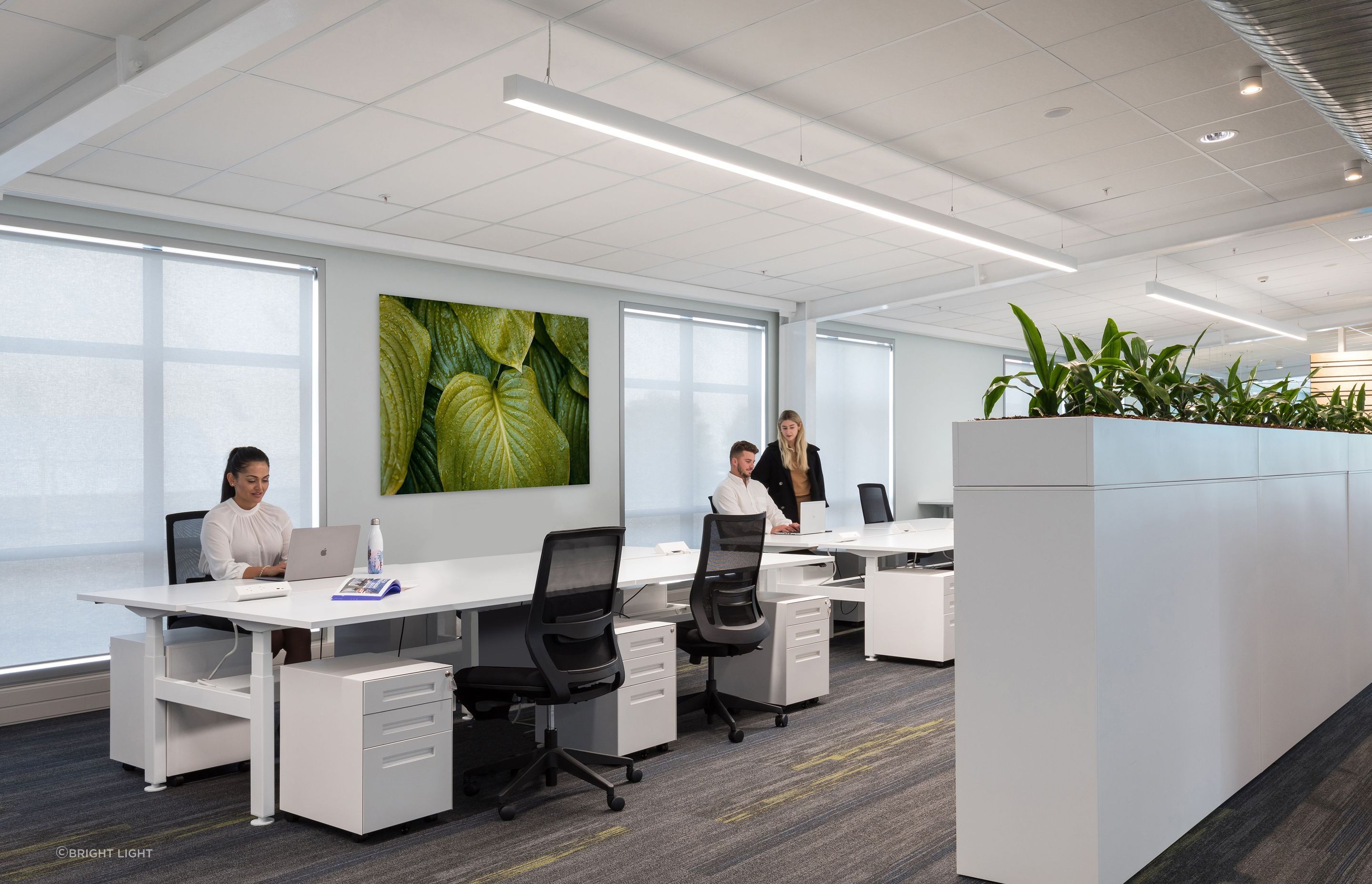 Available in either 3000K warm white or 4000K natural white, designers can use Element to create different working zones within the office space.