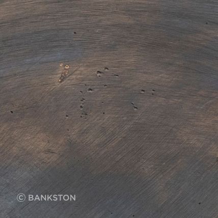 Patinated Bronze