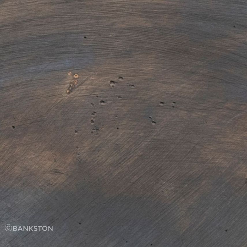 Patinated Bronze