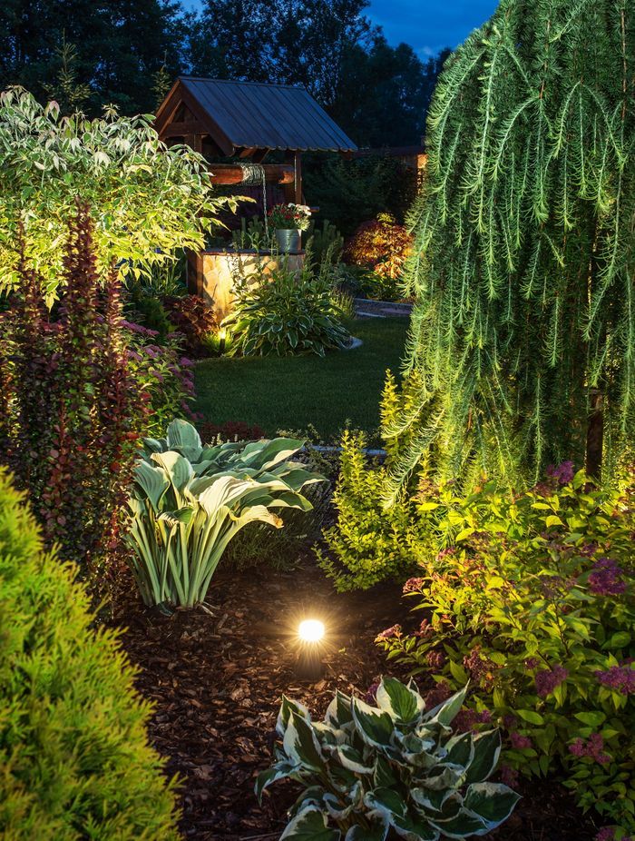 Having accent lighting installed in gardens means they look beautiful at night.