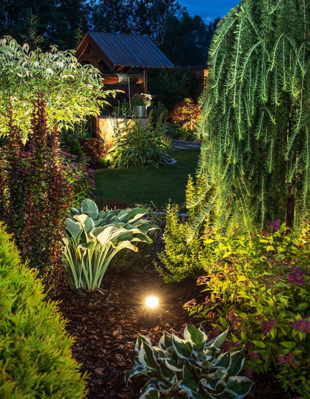 Having accent lighting installed in gardens means they look beautiful at night.